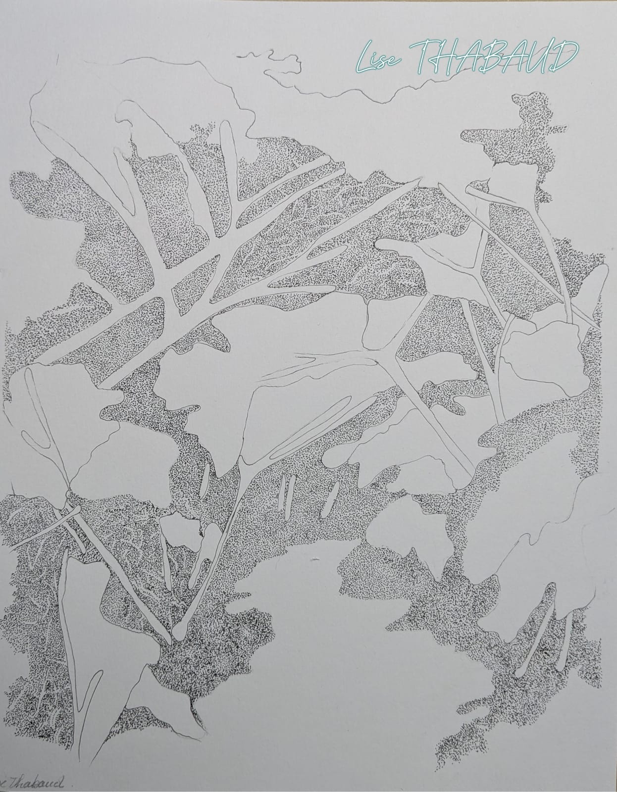 3-L. THABAUD-Les jardins-Balade envoutante-20x25 cm-2025.JPG — Lise Thabaud